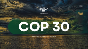 paisagem com a escrita COP30